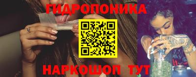 стаф Лесосибирск