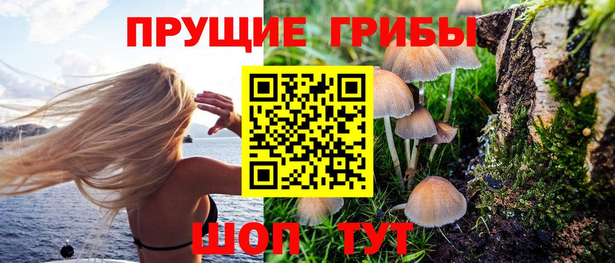 Псилоцибиновые грибы Cubensis  Псилоцибиновые грибы Psilocybe  Вход с VPN  Алапаевск 